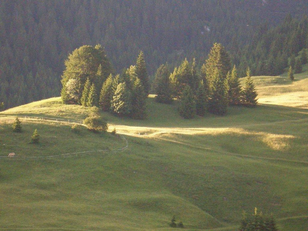 Hotel Alpenhof "Alt Laehn" Extérieur photo